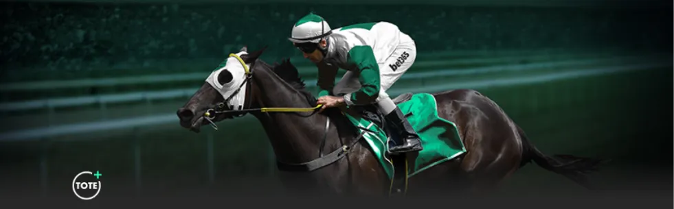 克罗地亚官,方确认达利,奇教练续约,sb体育注册开户,注册流程,体育博彩,在线开户,即时投注