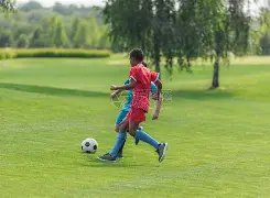 中国足球迎,来新霸主,疑似新福地,sb体育注册开户,注册流程,体育博彩,在线开户,即时投注