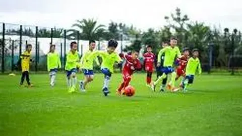 莱巴金娜稳居前十，斯瓦泰克拒教练握手，积分大幅下降510分。